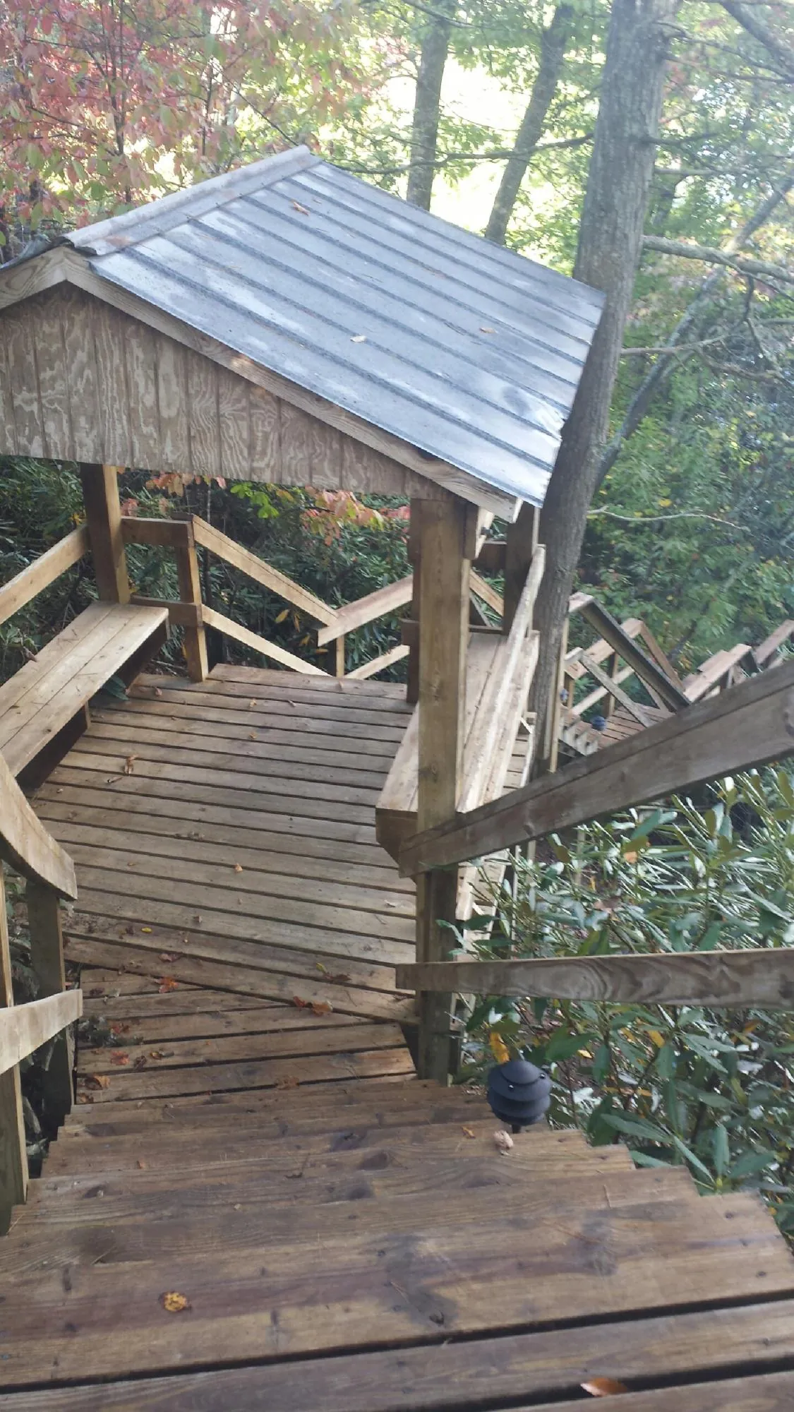 Metal roofed shelter over wooden steps on a wooded walkway in Homedale