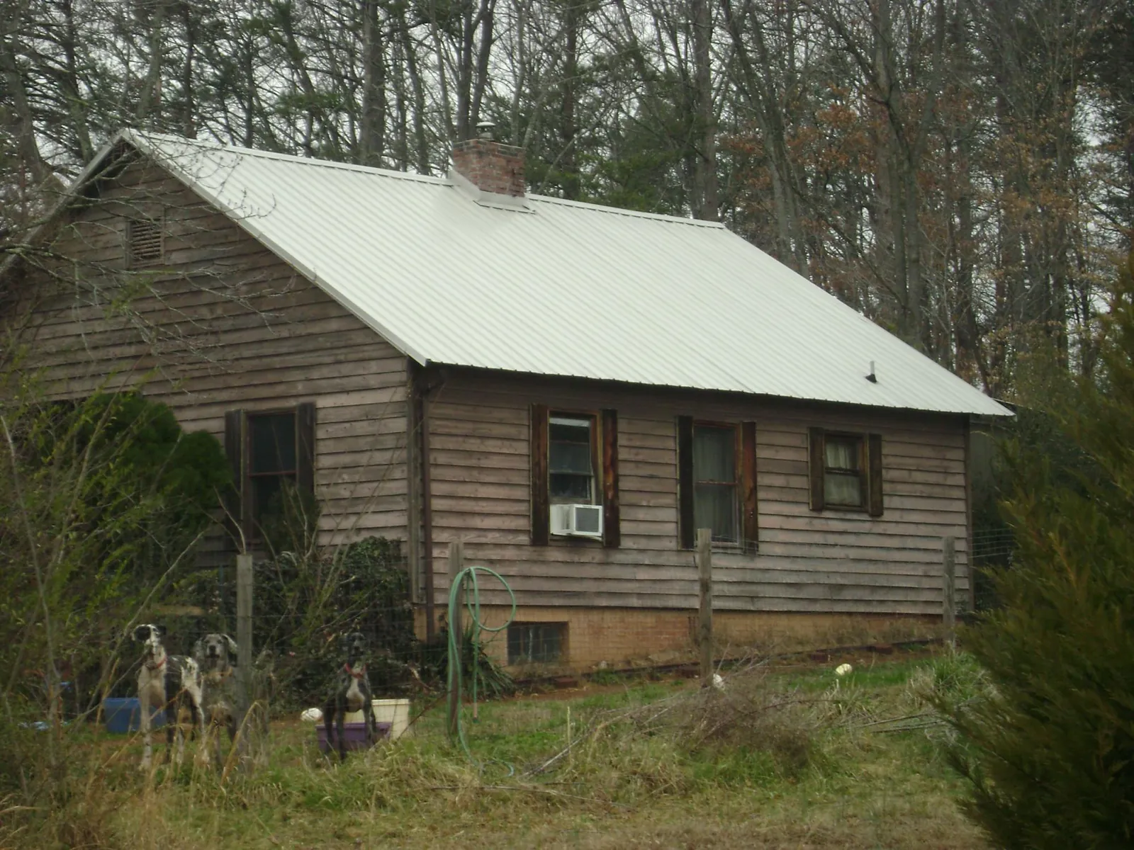 White metal roof on an old wood sided farmhouse, from a Asphalt Shingle Roof Repair job in Homedale
